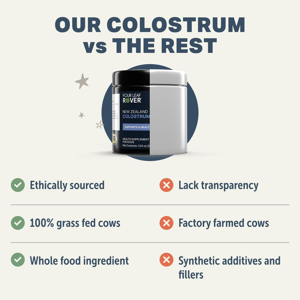 
                  
                    Bovine Colostrum - Immune Support For Dogs
                  
                